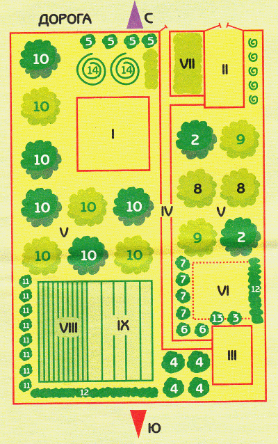 Посадка сада на участке схема со сторонами света