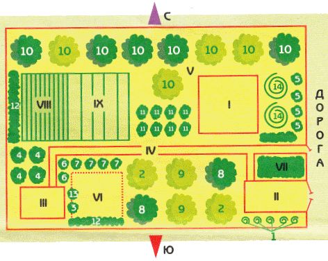 Расположение грядок на участке по сторонам света схема
